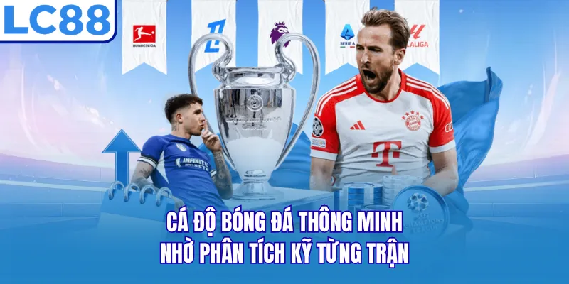 Cá độ bóng đá thông minh nhờ phân tích kỹ từng trận