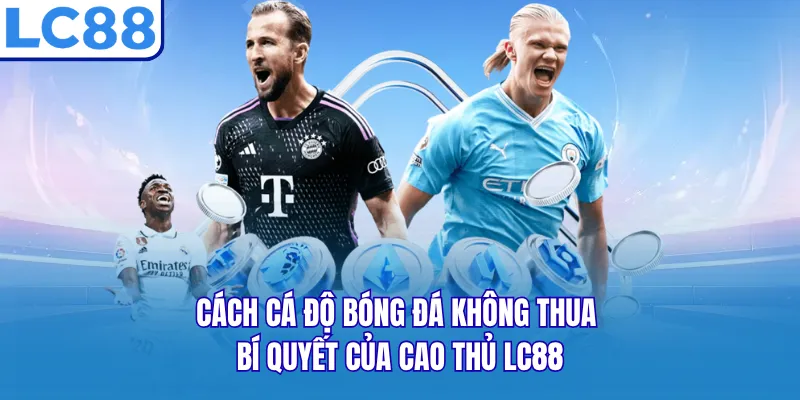 Cách Cá Độ Bóng Đá Không Thua - Bí Quyết Của Cao Thủ LC88