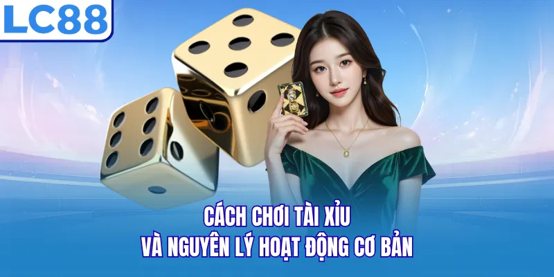Cách chơi tài xỉu và nguyên lý hoạt động cơ bản