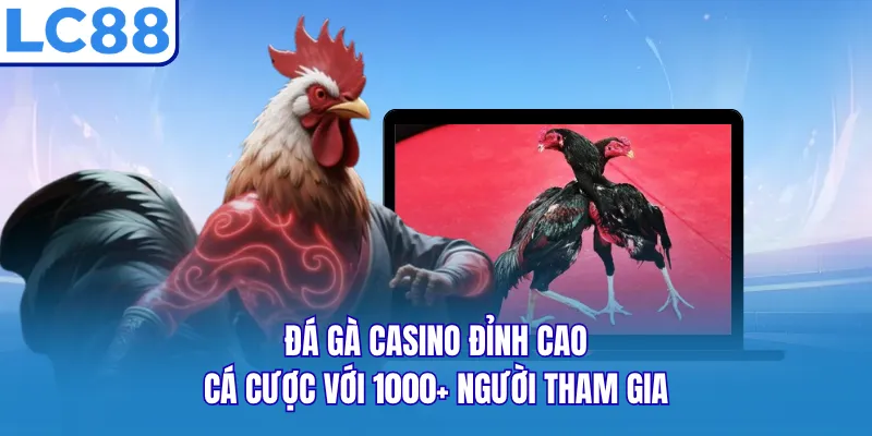 Đá Gà Casino Đỉnh Cao Cá Cược Với 1000+ Người Tham Gia