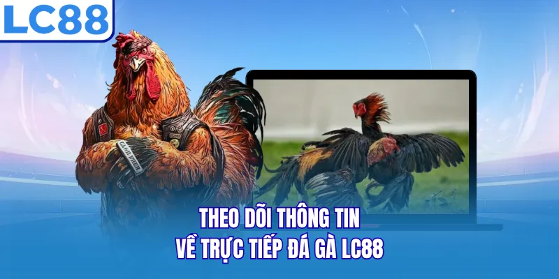 Theo dõi thông tin về trực tiếp đá gà LC88