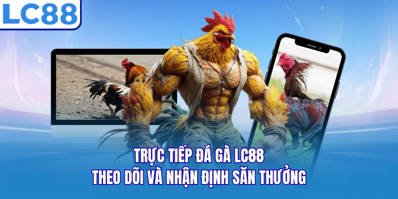 Trực Tiếp Đá Gà LC88 - Theo Dõi Và Nhận Định Săn Thưởng